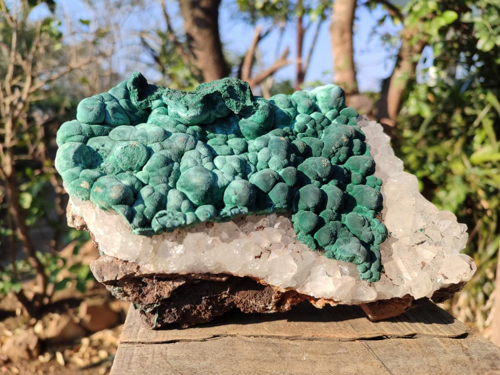 Natural Large Ball Malachite Specimen with Quartz on Dolomite x 1 From Mindingi Mine, Kambove, Congo - Toprock Gemstones and Minerals 
