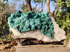 Natural Large Ball Malachite Specimen with Quartz on Dolomite x 1 From Mindingi Mine, Kambove, Congo - Toprock Gemstones and Minerals 