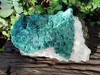 Natural Large Ball Malachite Specimen with Quartz on Dolomite x 1 From Mindingi Mine, Kambove, Congo - Toprock Gemstones and Minerals 