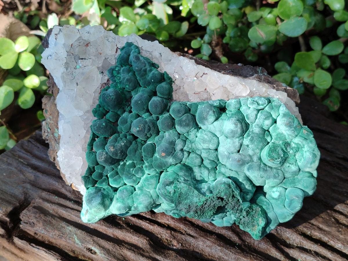 Natural Large Ball Malachite Specimen with Quartz on Dolomite x 1 From Mindingi Mine, Kambove, Congo - Toprock Gemstones and Minerals 