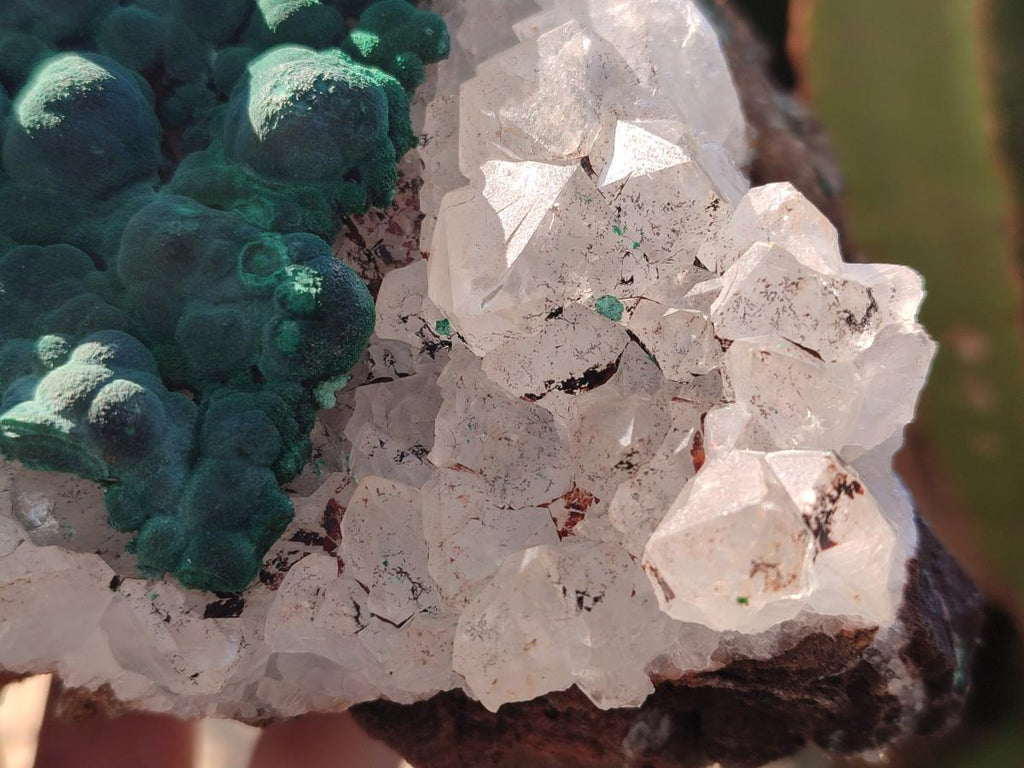 Natural Large Ball Malachite Specimen with Quartz on Dolomite x 1 From Mindingi Mine, Kambove, Congo - Toprock Gemstones and Minerals 