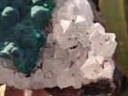 Natural Large Ball Malachite Specimen with Quartz on Dolomite x 1 From Mindingi Mine, Kambove, Congo - Toprock Gemstones and Minerals 