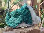 Natural Large Ball Malachite Specimen with Quartz on Dolomite x 1 From Mindingi Mine, Kambove, Congo - Toprock Gemstones and Minerals 