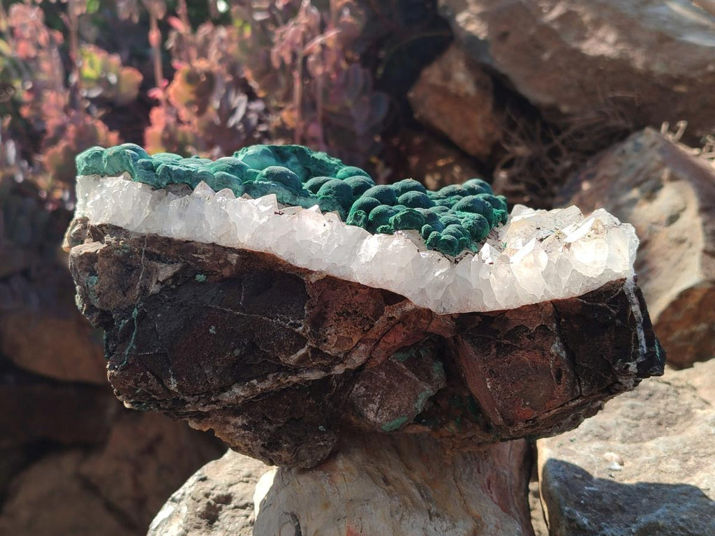 Natural Large Ball Malachite Specimen with Quartz on Dolomite x 1 From Mindingi Mine, Kambove, Congo - Toprock Gemstones and Minerals 