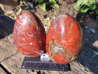 Polished and Natural Red Jasper Standing Display Pieces x 4 From Madagascar - Toprock Gemstones and Minerals 