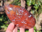 Polished and Natural Red Jasper Standing Display Pieces x 4 From Madagascar - Toprock Gemstones and Minerals 