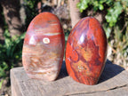 Polished and Natural Red Jasper Standing Display Pieces x 4 From Madagascar - Toprock Gemstones and Minerals 
