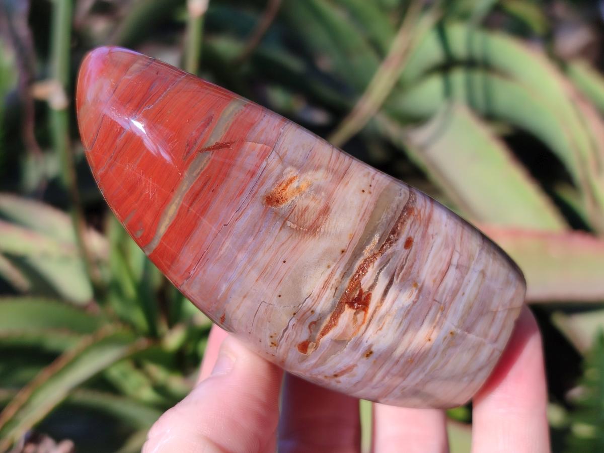 Polished and Natural Red Jasper Standing Display Pieces x 4 From Madagascar - Toprock Gemstones and Minerals 