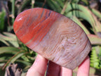 Polished and Natural Red Jasper Standing Display Pieces x 4 From Madagascar - Toprock Gemstones and Minerals 