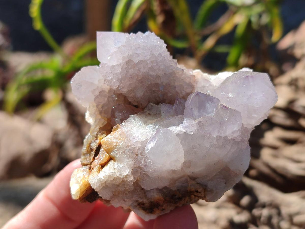 Natural Lilac Spirit Amethyst Clusters x 6 From Boekenhouthoek, South Africa - Toprock Gemstones and Minerals 