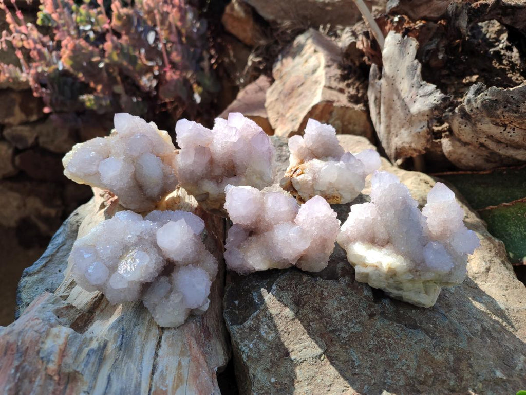 Natural Lilac Spirit Amethyst Clusters x 6 From Boekenhouthoek, South Africa - Toprock Gemstones and Minerals 
