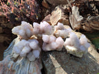 Natural Lilac Spirit Amethyst Clusters x 6 From Boekenhouthoek, South Africa - Toprock Gemstones and Minerals 