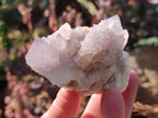 Natural Lilac Spirit Amethyst Clusters x 6 From Boekenhouthoek, South Africa - Toprock Gemstones and Minerals 