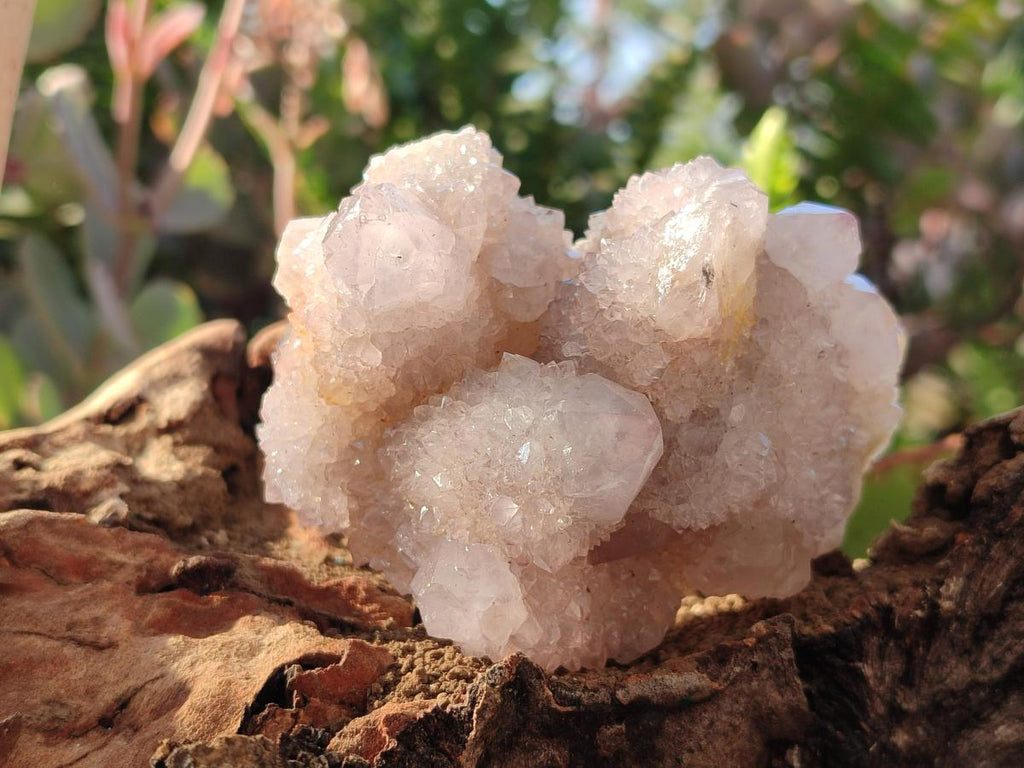 Natural Lilac Spirit Amethyst Clusters x 6 From Boekenhouthoek, South Africa - Toprock Gemstones and Minerals 