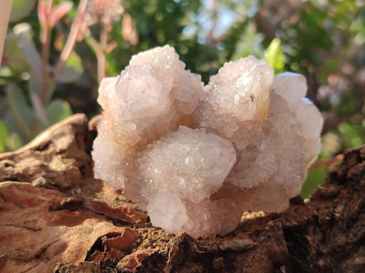 Natural Lilac Spirit Amethyst Clusters x 6 From Boekenhouthoek, South Africa - Toprock Gemstones and Minerals 