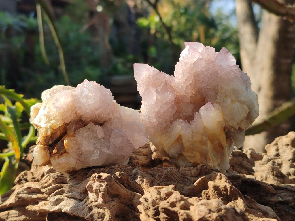 Natural Lilac Spirit Amethyst Clusters x 6 From Boekenhouthoek, South Africa - Toprock Gemstones and Minerals 