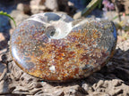 Polished Whole "Jigsaw" Cleoniceras Ammonite Fossils with Amber Calcite x 2 From Tulear, Madagascar - Toprock Gemstones and Minerals 