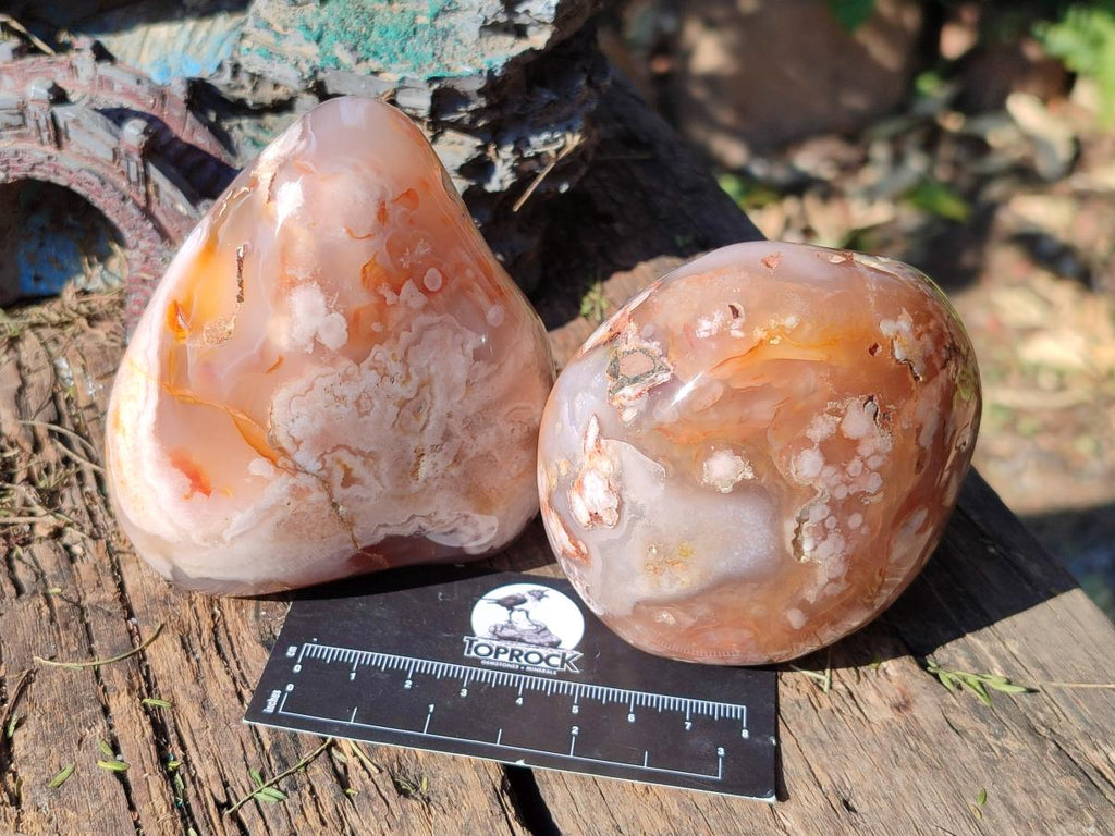 Polished Flower Agate Standing Display Pieces x 3 From Antsahalova, Madagascar - Toprock Gemstones and Minerals 