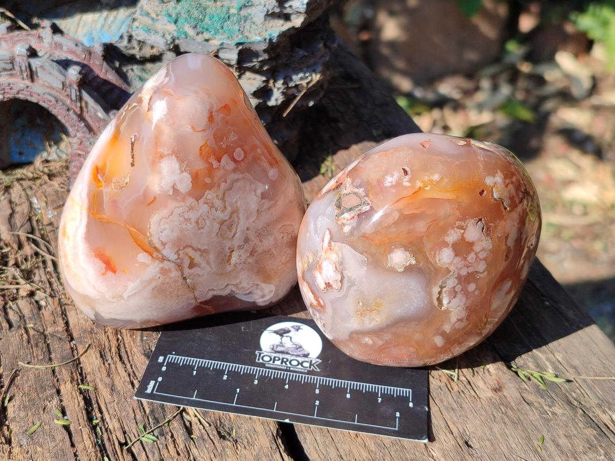 Polished Flower Agate Standing Display Pieces x 3 From Antsahalova, Madagascar - Toprock Gemstones and Minerals 