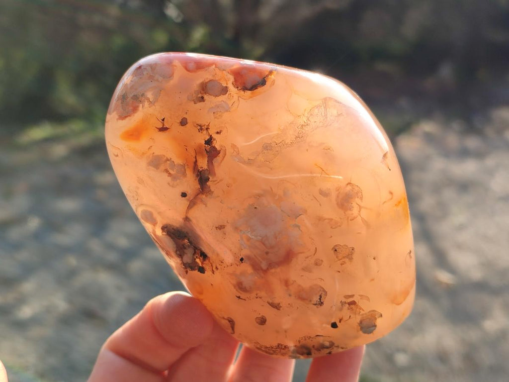 Polished Flower Agate Standing Display Pieces x 3 From Antsahalova, Madagascar - Toprock Gemstones and Minerals 