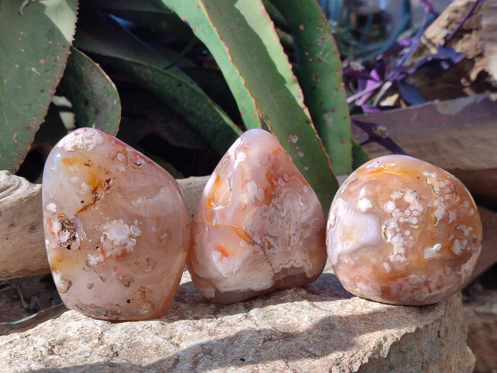 Polished Flower Agate Standing Display Pieces x 3 From Antsahalova, Madagascar - Toprock Gemstones and Minerals 