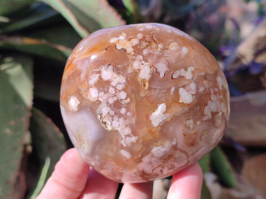 Polished Flower Agate Standing Display Pieces x 3 From Antsahalova, Madagascar - Toprock Gemstones and Minerals 
