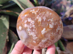 Polished Flower Agate Standing Display Pieces x 3 From Antsahalova, Madagascar - Toprock Gemstones and Minerals 