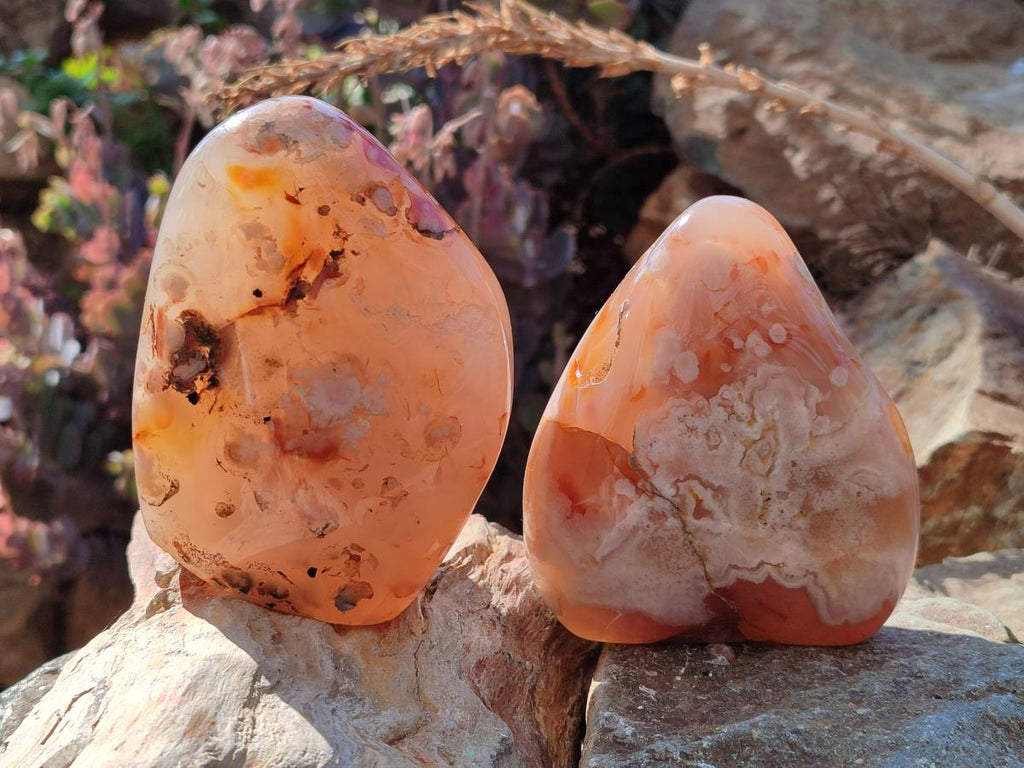 Polished Flower Agate Standing Display Pieces x 3 From Antsahalova, Madagascar - Toprock Gemstones and Minerals 