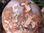 Polished Flower Agate Standing Display Pieces x 3 From Antsahalova, Madagascar - Toprock Gemstones and Minerals 