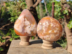 Polished Flower Agate Standing Display Pieces x 3 From Antsahalova, Madagascar - Toprock Gemstones and Minerals 