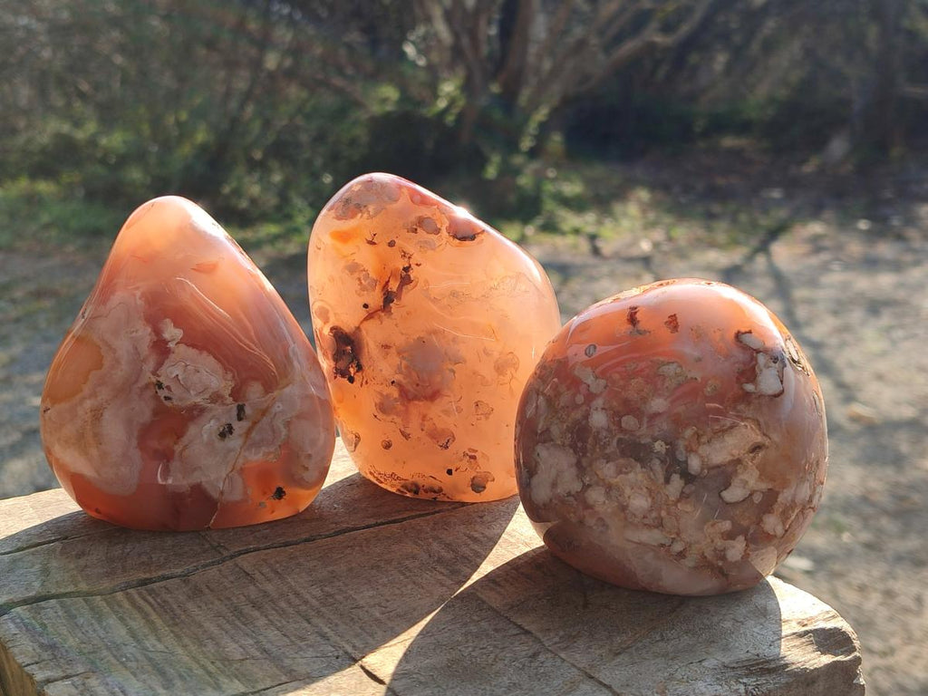 Polished Flower Agate Standing Display Pieces x 3 From Antsahalova, Madagascar - Toprock Gemstones and Minerals 