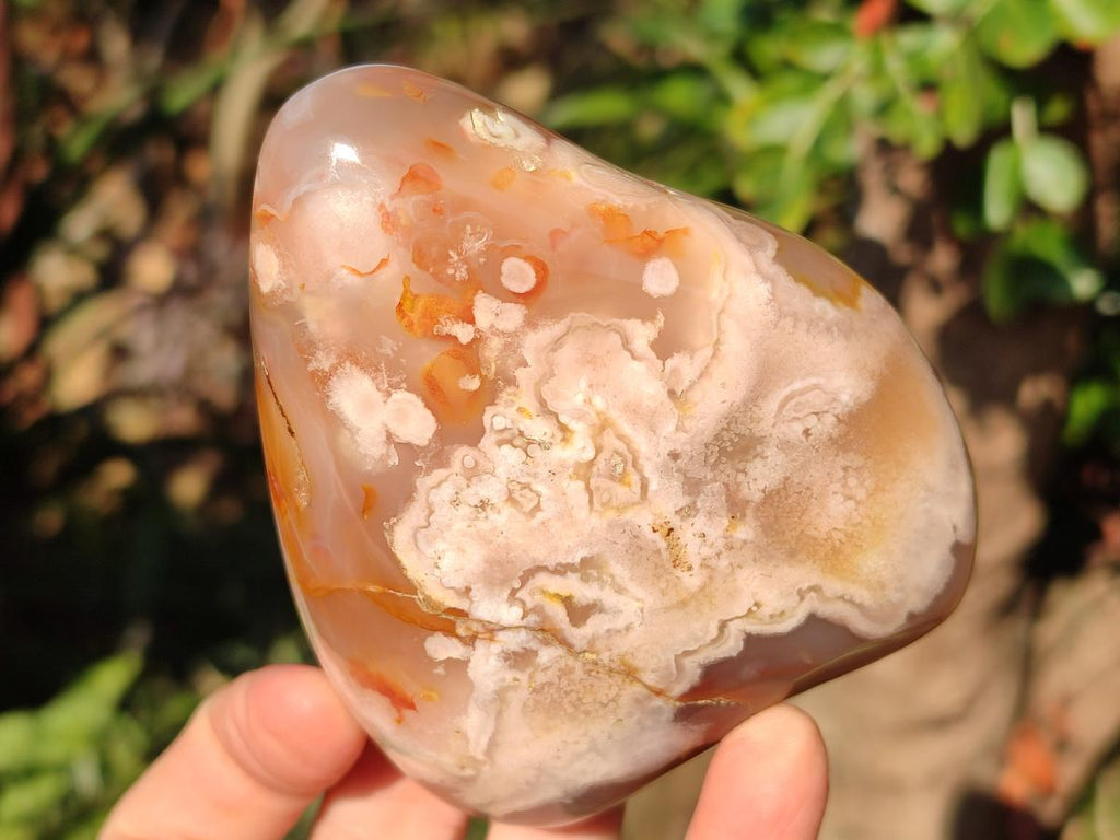 Polished Flower Agate Standing Display Pieces x 3 From Antsahalova, Madagascar - Toprock Gemstones and Minerals 