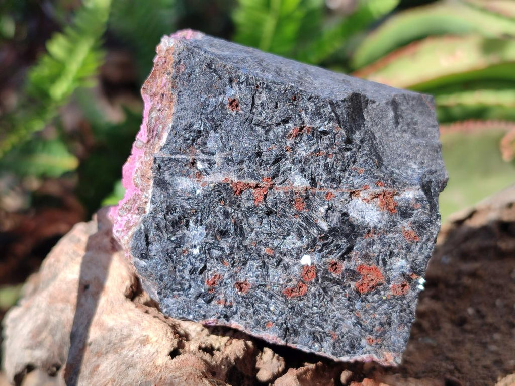 Natural Salrose Cobaltoan Dolomite Specimens x 6 From Kakanda, Congo - Toprock Gemstones and Minerals 