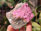 Natural Salrose Cobaltoan Dolomite Specimens x 6 From Kakanda, Congo - Toprock Gemstones and Minerals 