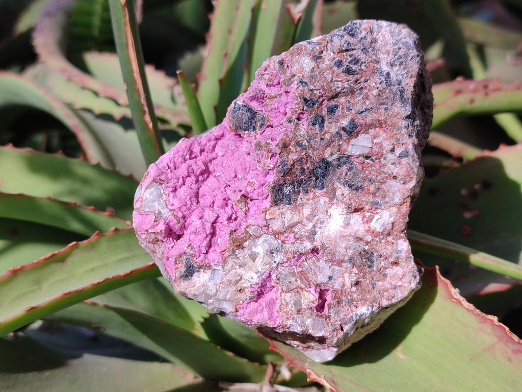 Natural Salrose Cobaltoan Dolomite Specimens x 6 From Kakanda, Congo - Toprock Gemstones and Minerals 