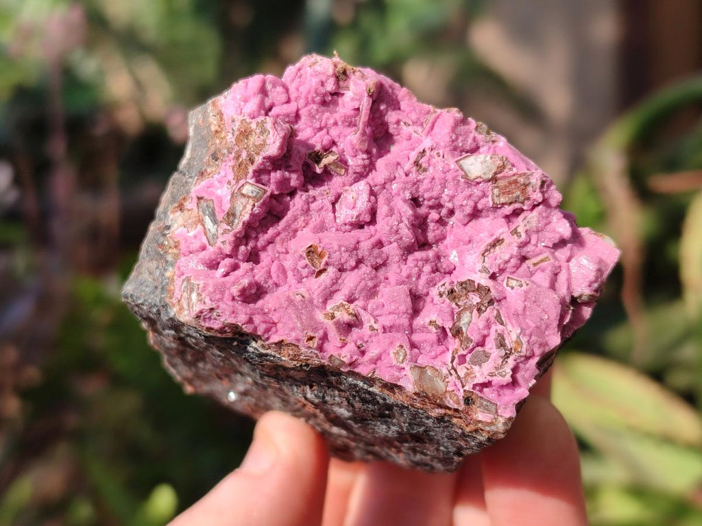 Natural Salrose Cobaltoan Dolomite Specimens x 6 From Kakanda, Congo - Toprock Gemstones and Minerals 