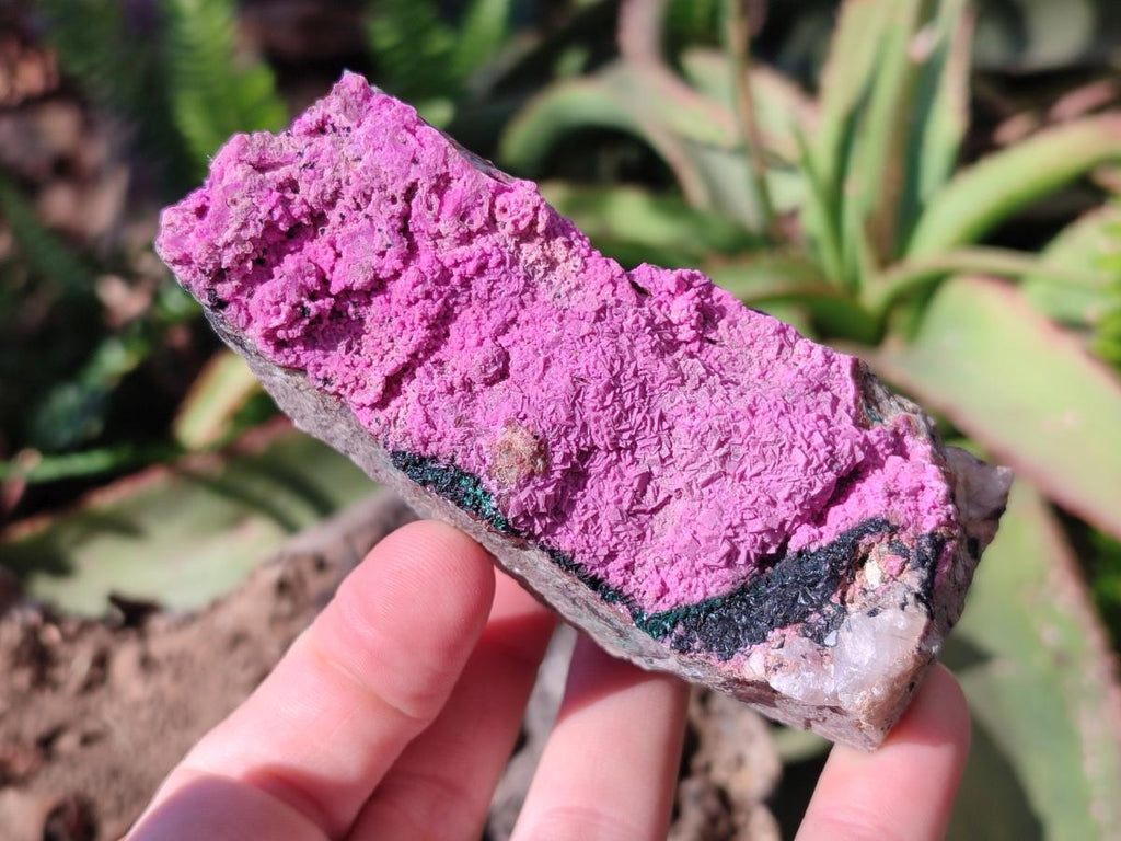 Natural Salrose Cobaltoan Dolomite Specimens x 6 From Kakanda, Congo - Toprock Gemstones and Minerals 