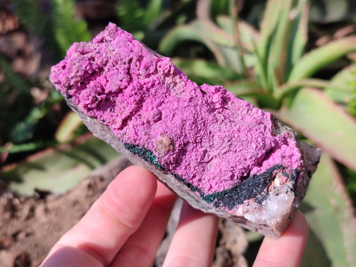 Natural Salrose Cobaltoan Dolomite Specimens x 6 From Kakanda, Congo - Toprock Gemstones and Minerals 