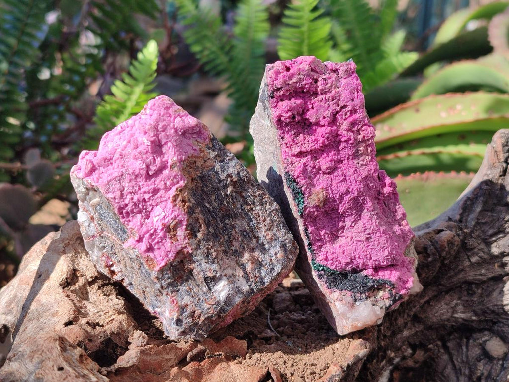 Natural Salrose Cobaltoan Dolomite Specimens x 6 From Kakanda, Congo - Toprock Gemstones and Minerals 