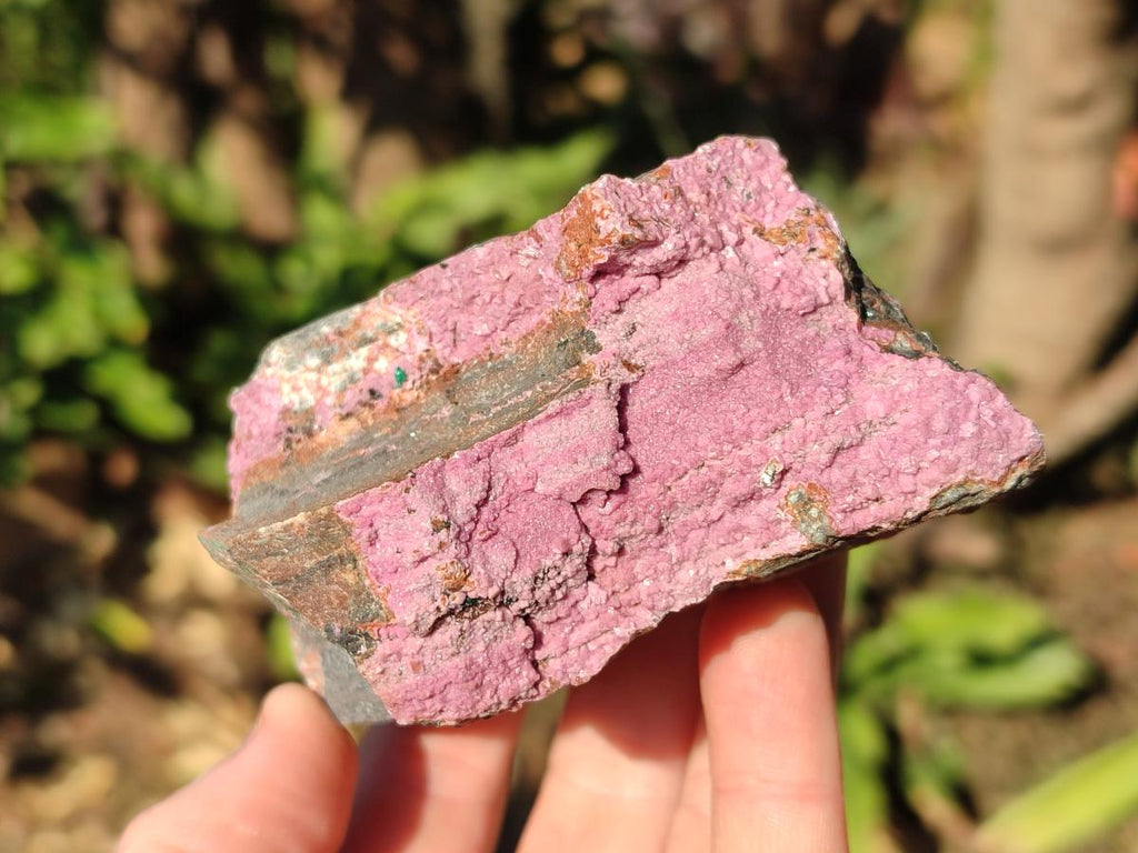 Natural Salrose Cobaltoan Dolomite Specimens x 6 From Kakanda, Congo - Toprock Gemstones and Minerals 