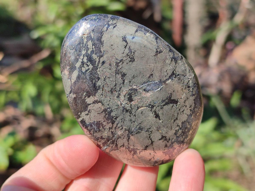 Polished Basalt Pharaoh Stone Free Forms x 6 From Iron Duke Mine, Zimbabwe - Toprock Gemstones and Minerals 