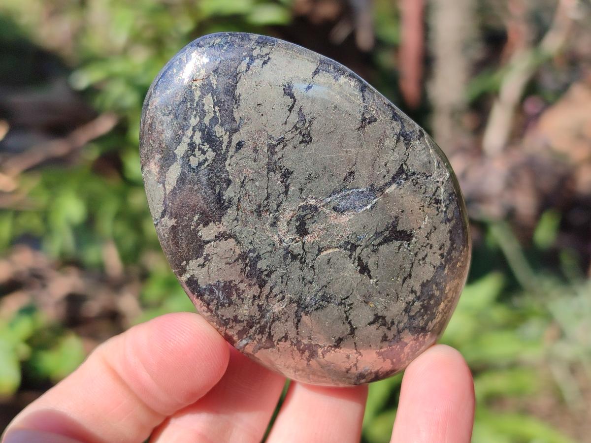 Polished Basalt Pharaoh Stone Free Forms x 6 From Iron Duke Mine, Zimbabwe - Toprock Gemstones and Minerals 