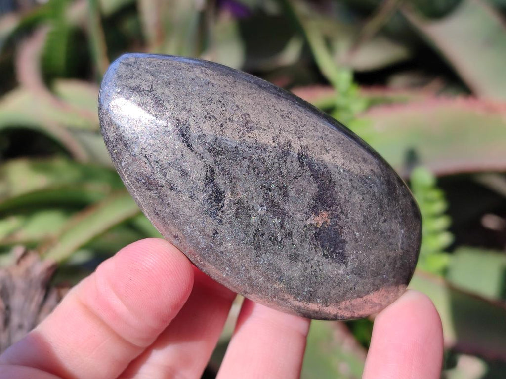 Polished Basalt Pharaoh Stone Free Forms x 6 From Iron Duke Mine, Zimbabwe - Toprock Gemstones and Minerals 