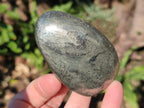 Polished Basalt Pharaoh Stone Free Forms x 6 From Iron Duke Mine, Zimbabwe - Toprock Gemstones and Minerals 