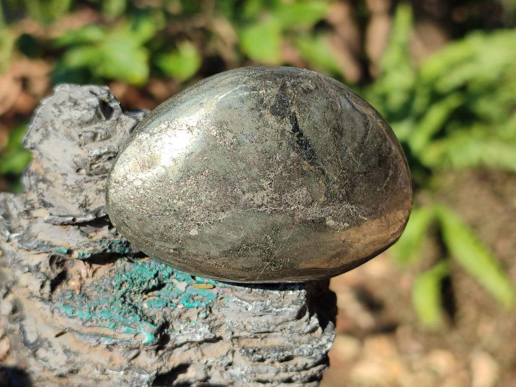 Polished Basalt Pharaoh Stone Free Forms x 6 From Iron Duke Mine, Zimbabwe - Toprock Gemstones and Minerals 