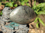 Polished Basalt Pharaoh Stone Free Forms x 6 From Iron Duke Mine, Zimbabwe - Toprock Gemstones and Minerals 