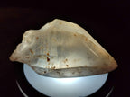 Natural Smokey Quartz Crystals with Associated Minerals x 12 From Erongo, Namibia - Toprock Gemstones and Minerals 