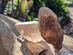 Natural Smokey Quartz Crystals with Associated Minerals x 12 From Erongo, Namibia - Toprock Gemstones and Minerals 