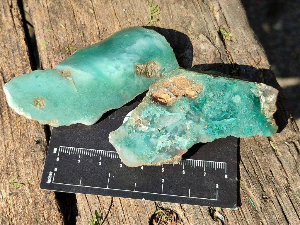 Polished One Side Mtorolite Chrysoprase Slices x 24 From Mutorashanga, Zimbabwe - Toprock Gemstones and Minerals 