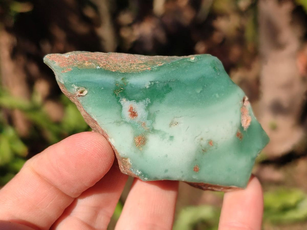 Polished One Side Mtorolite Chrysoprase Slices x 24 From Mutorashanga, Zimbabwe - Toprock Gemstones and Minerals 